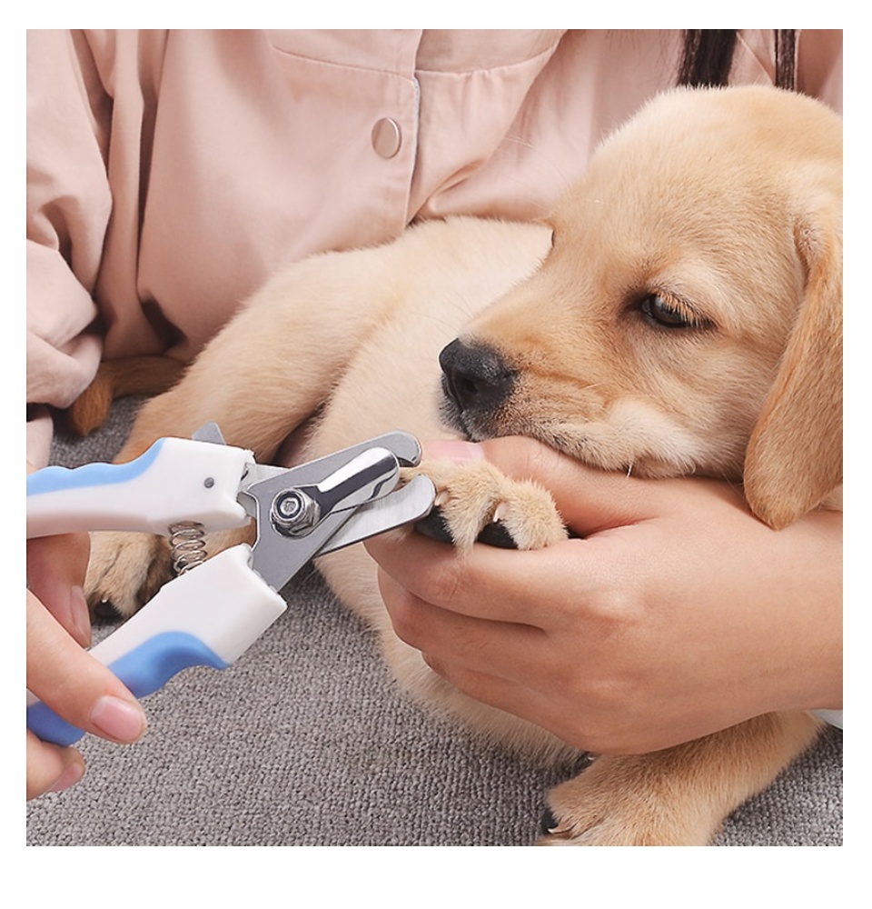 dog trimmer lazada