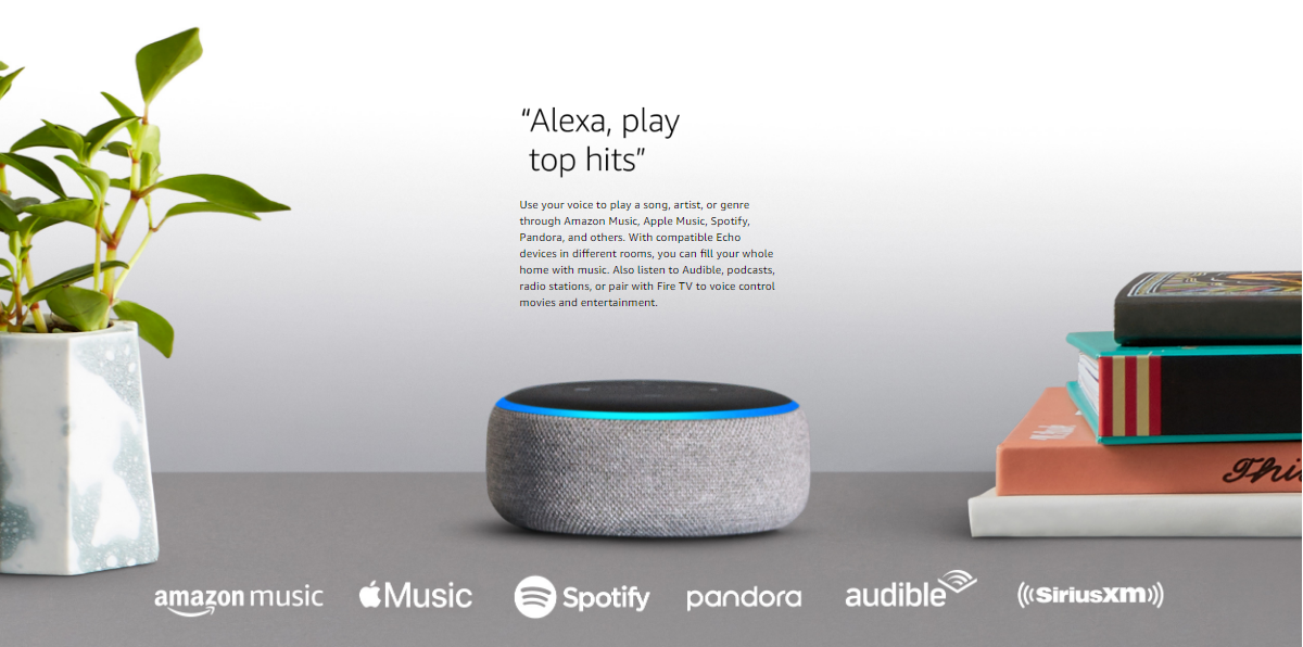 whole home music alexa