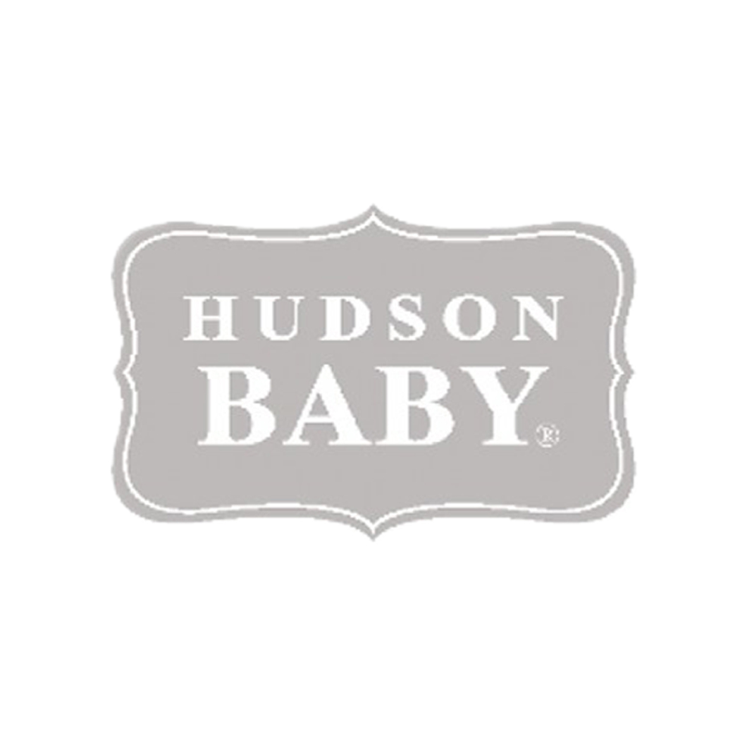 hudson baby onesies