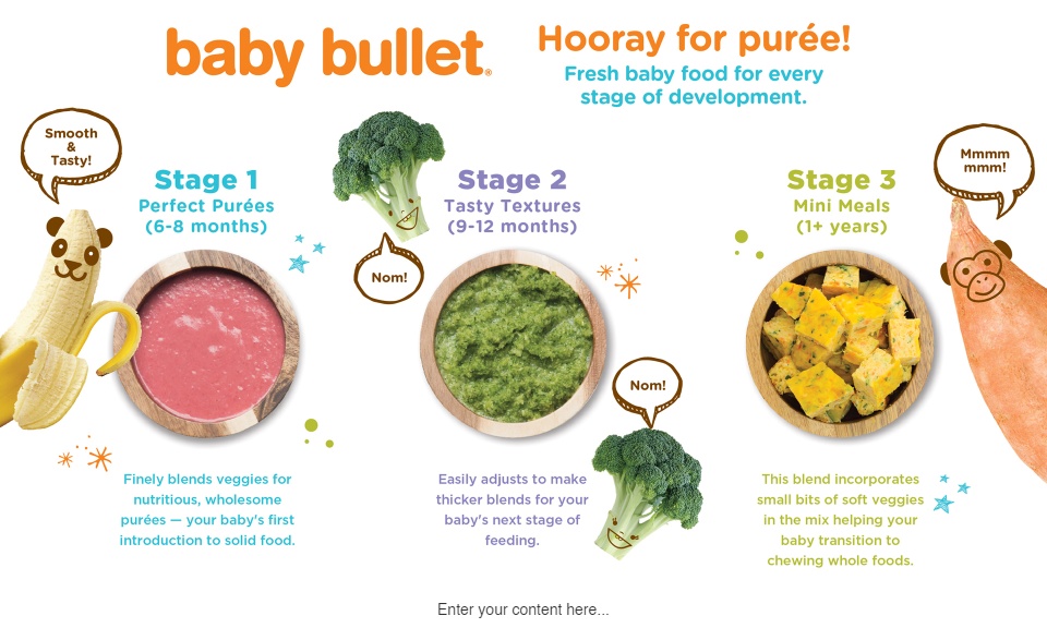 baby bullet stores