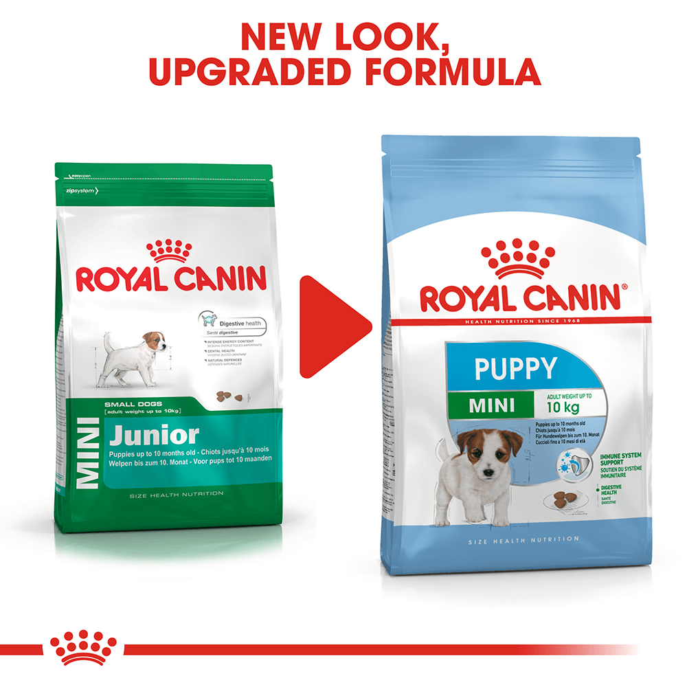 royal canin puppy mini 8 kg