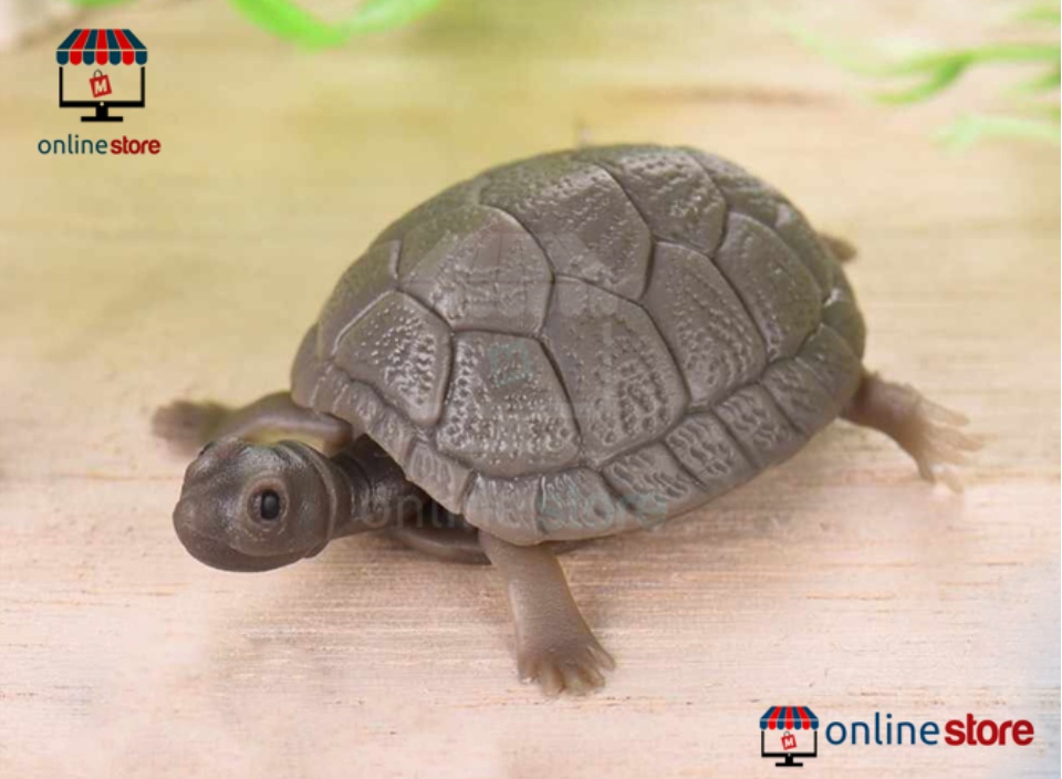 aquarium equipment online