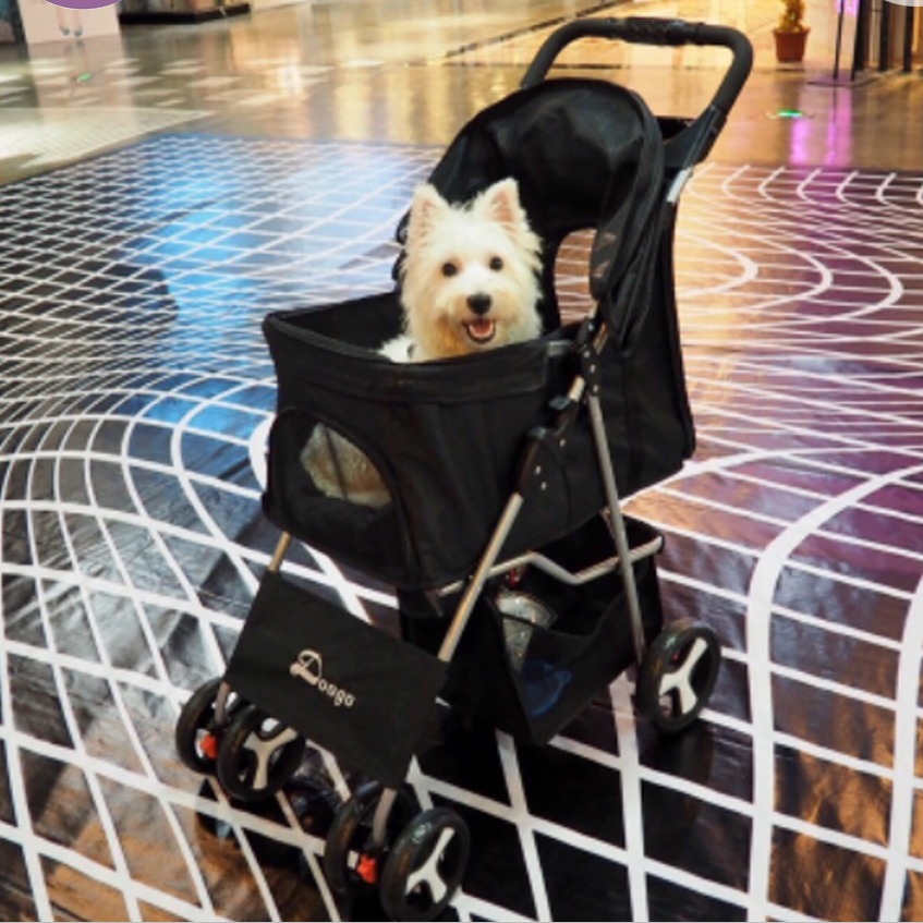 Shop at Pet Mall All with great deals online