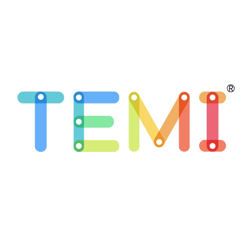 Temi Sticker TEMI TOY Philippines Official Online Store | Shop Now on Lazada