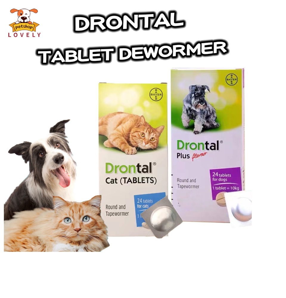 Drontal plus hot sale feline