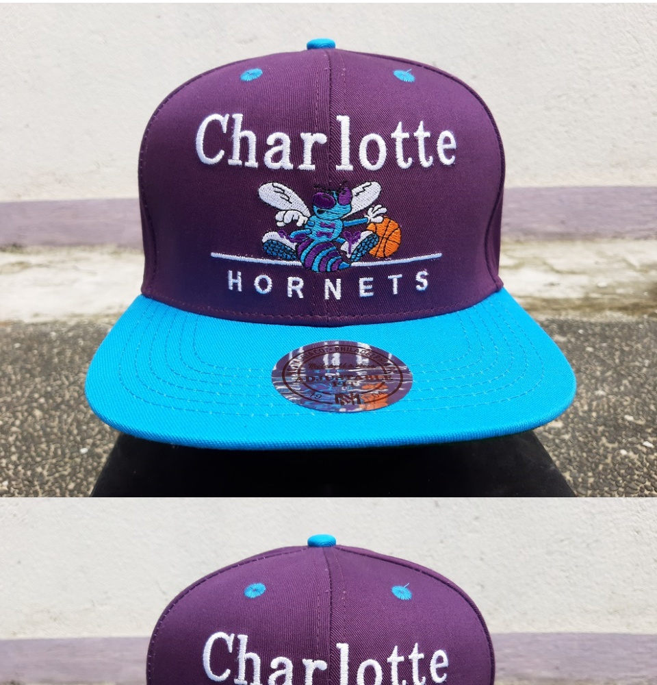 hornets dad hat