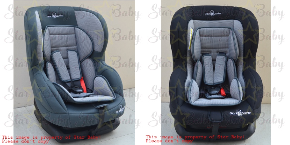 Giant carrier 2024 zander car seat