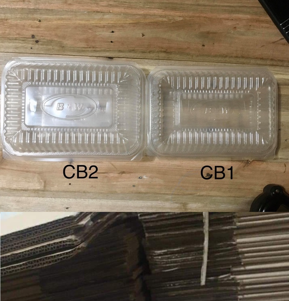 Microwavable Plastic Container Rectangular 500ml – Biz Asia