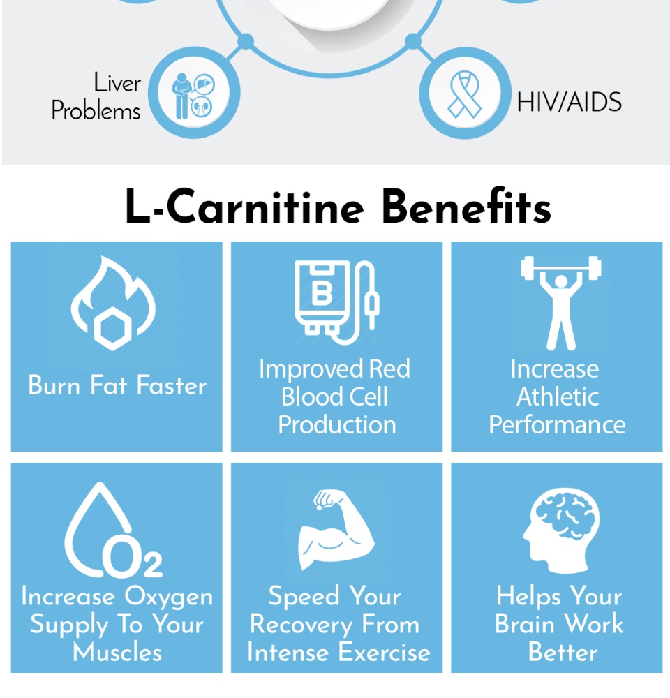 LCarnitine What Is Carnitine? Benefits Of LCarnitine, 48 OFF