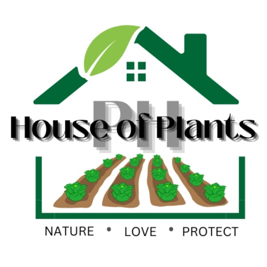 Shop online with House of Plant now! Visit House of Plant on Lazada.