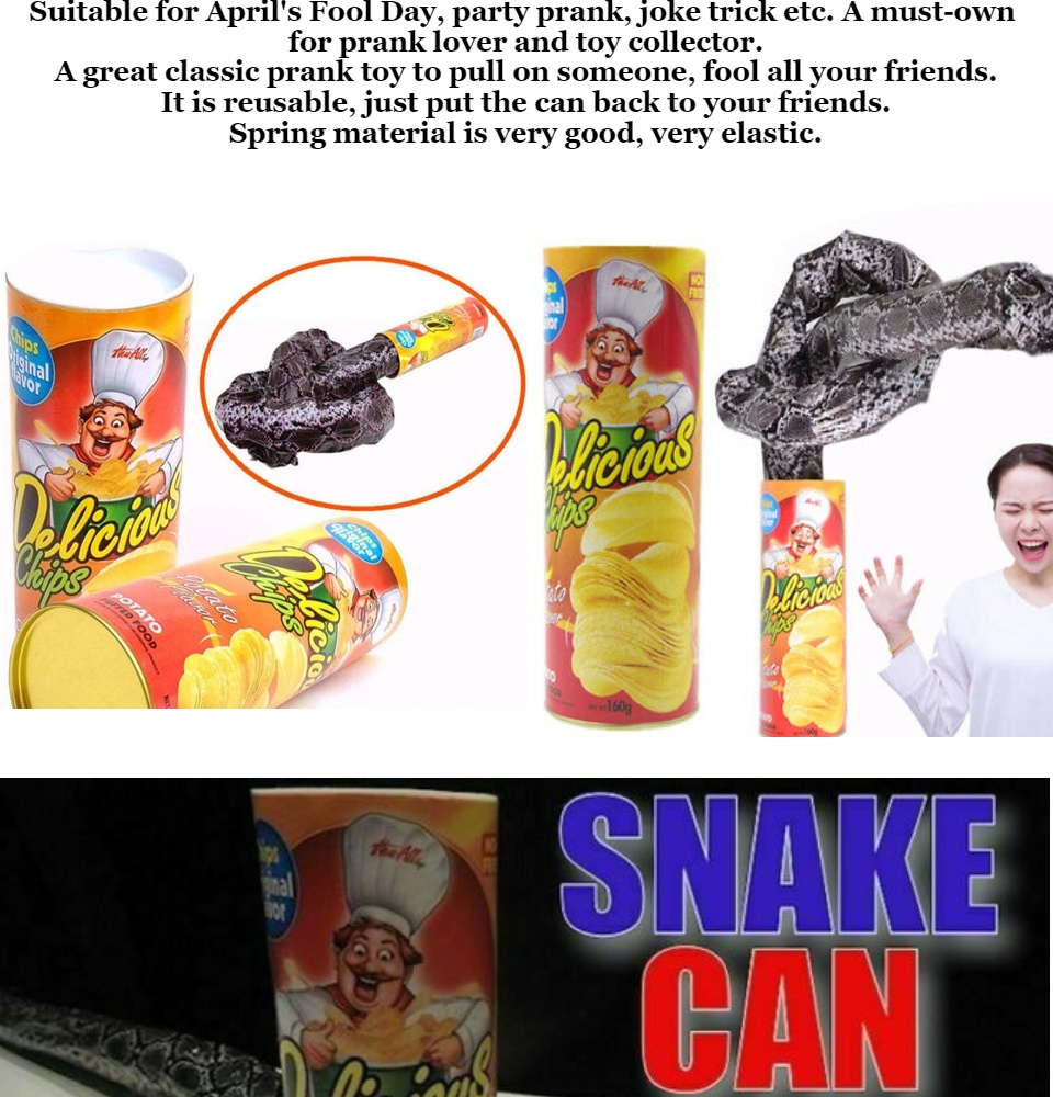 The FunFamz Original Snake in a Potato Chip Can Prank-Funny Classic Snake  in a Can Prank for Kids, Snake in a Can Trick Gag Gift Toy & Scary Shock