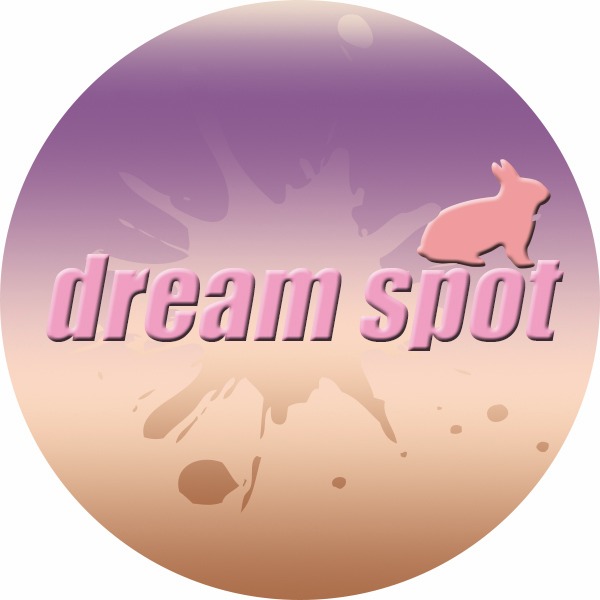 Dream Spot Official Store In The Philippines Online Shop 11 2024