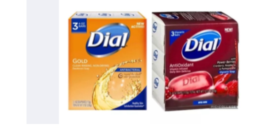 Dial Gold Antibacterial Bar Soap 113g General Cleansing Power
