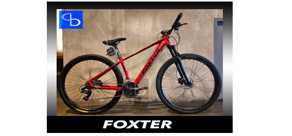 Foxter evans 29er online price