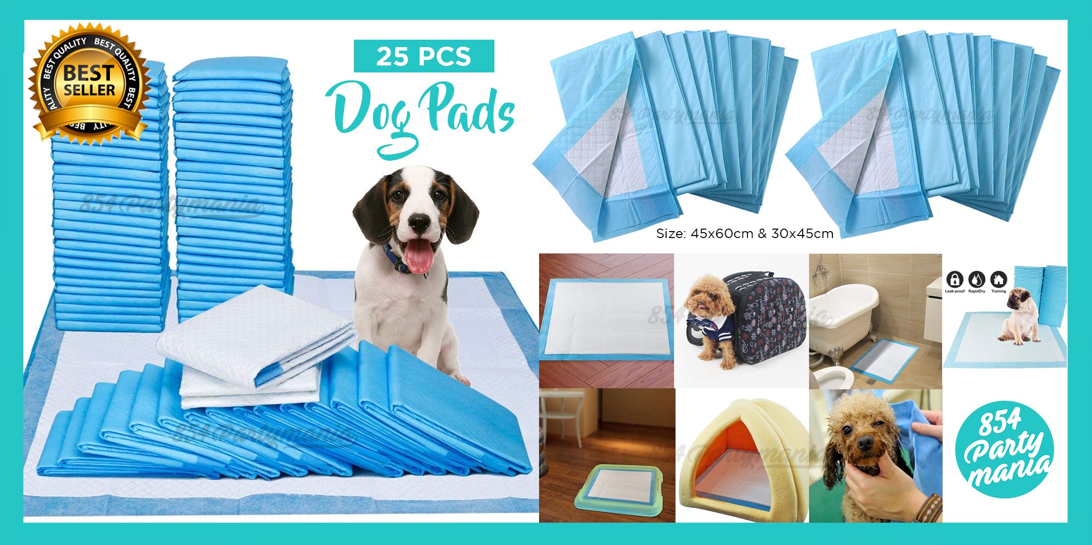 Lovely Dog how to train puppy on pee pad