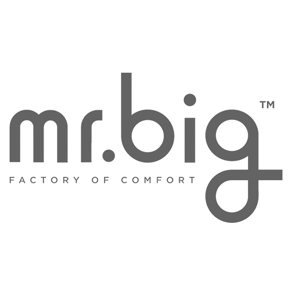 Mr. Big Pillows PH