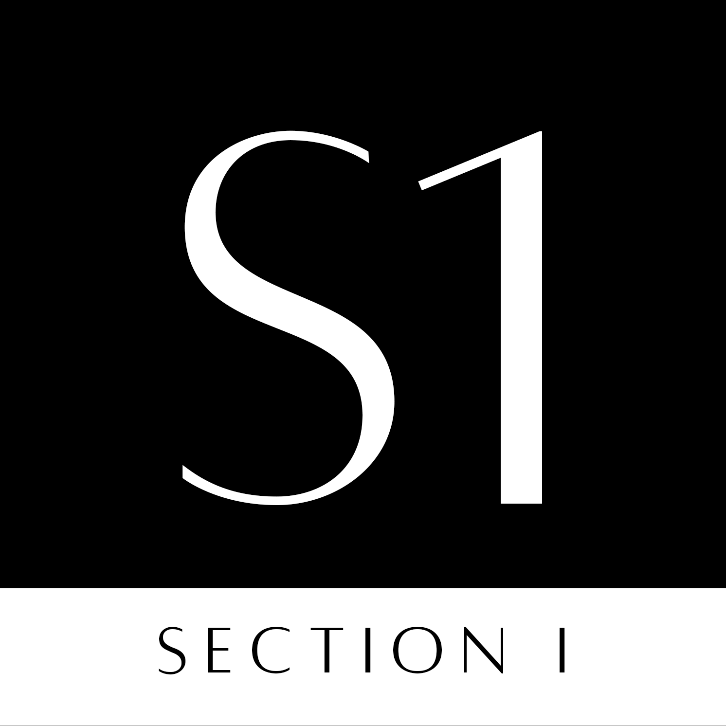 Section One Icon Shop at Section One PH with great deals online | lazada.com.ph