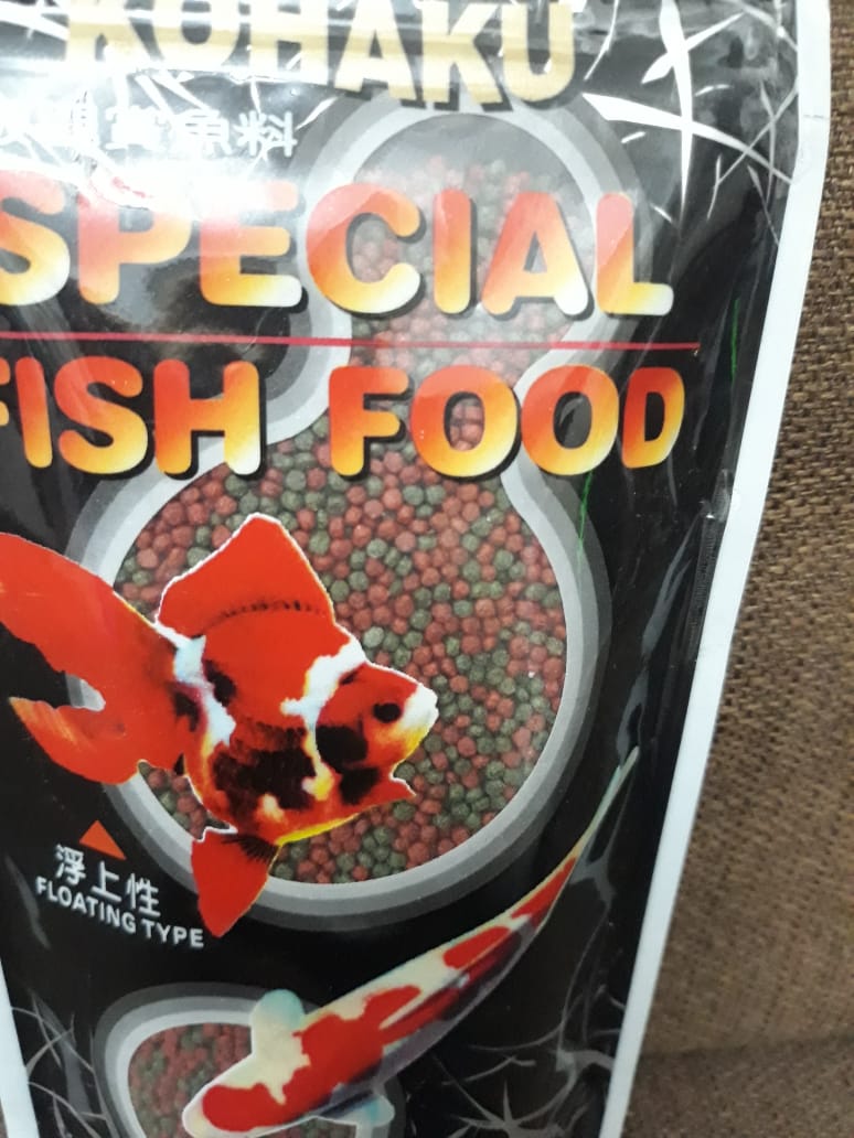 fish food shop near me