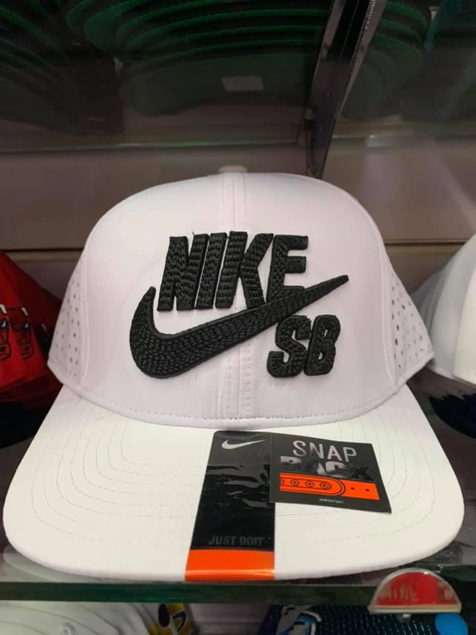 nike sb net cap