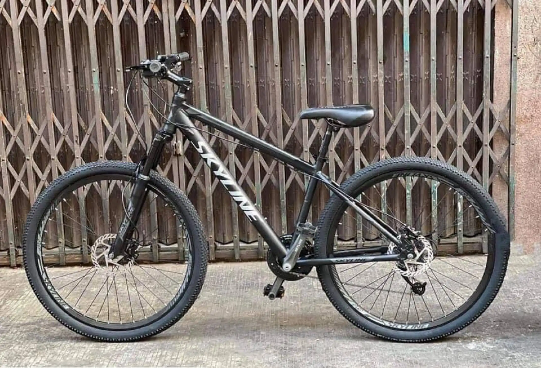 skyline roller 27.5