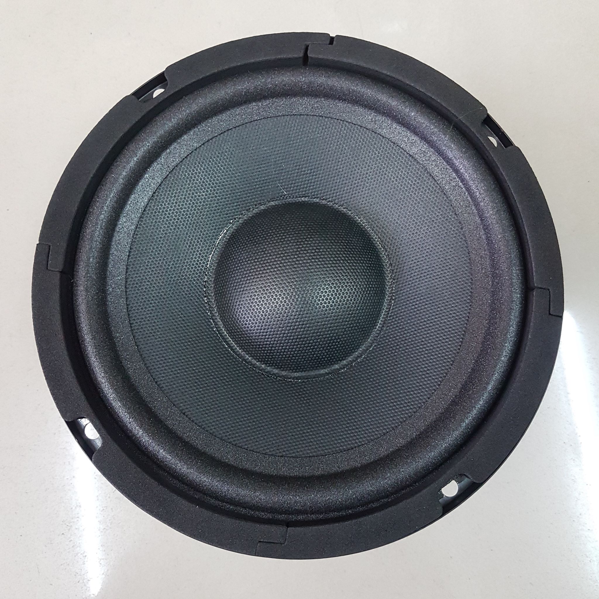 speaker 8 ohm 80 watt