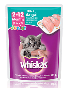 tuna for kittens