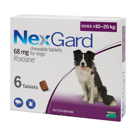 nexgard for nursing dogs