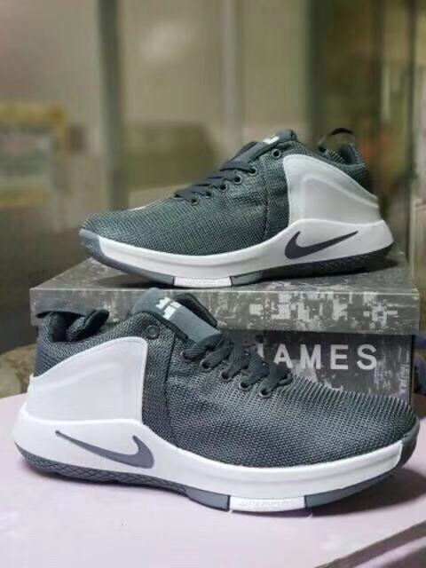 lebron shoes high cut