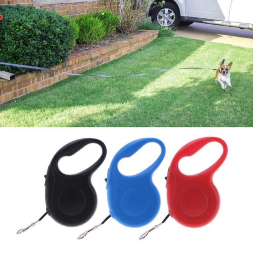 retractable dog leash for yard
