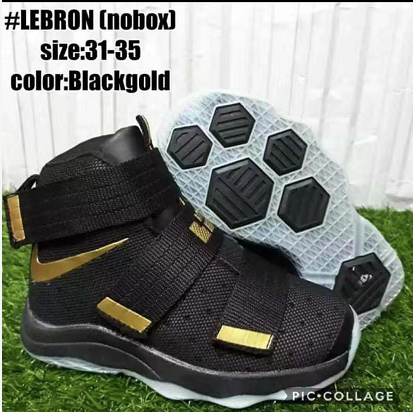 lebron james 33 shoes