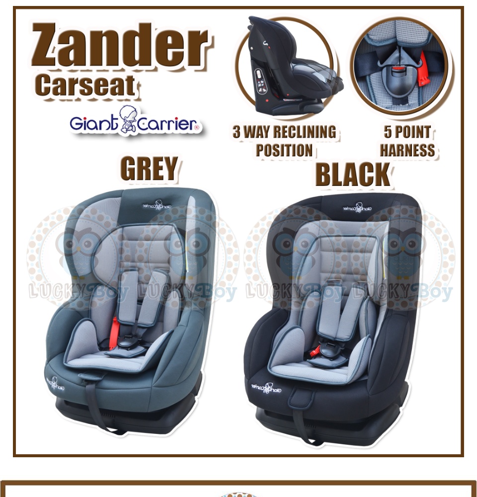 Giant carrier 2025 zander car seat