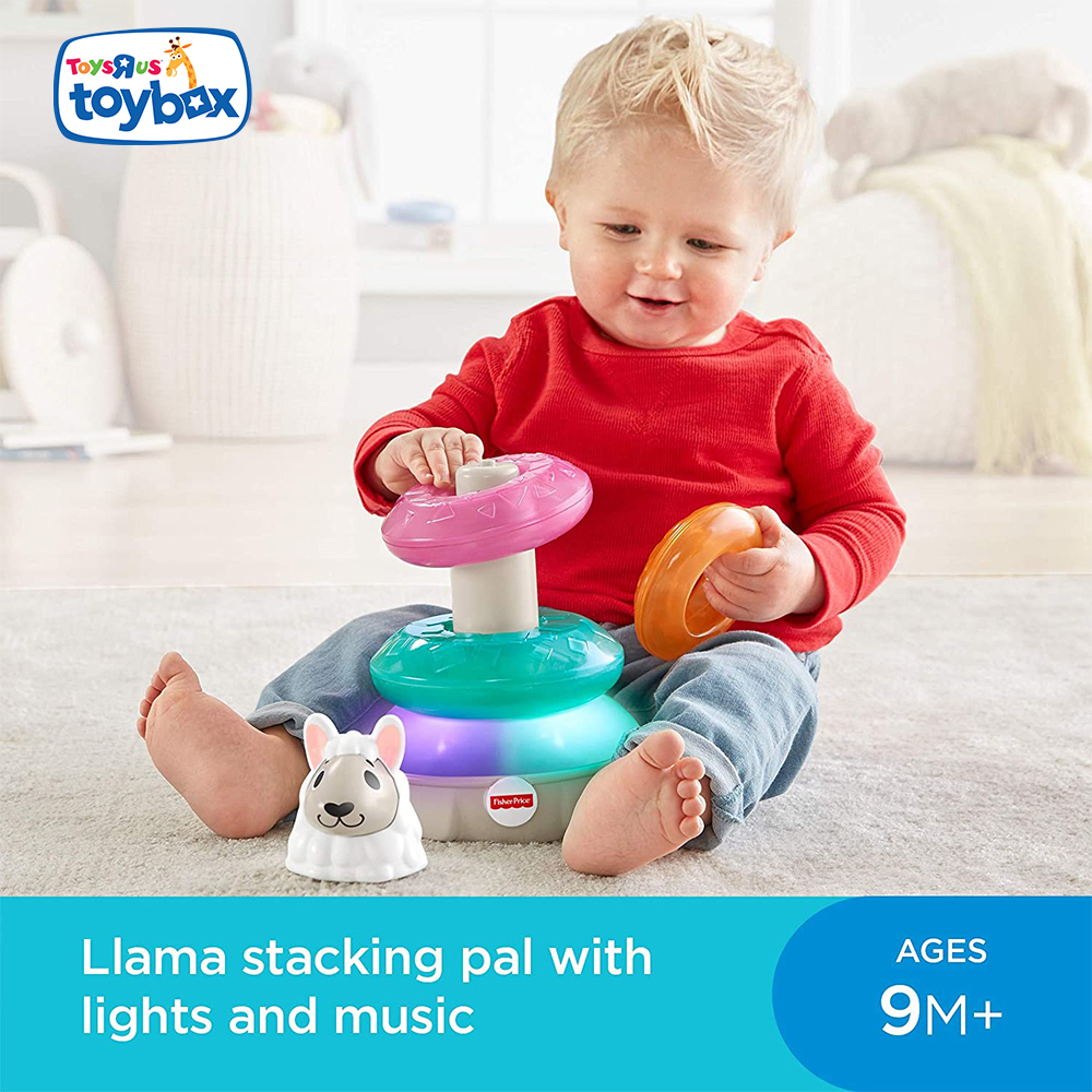 lights and colors llama