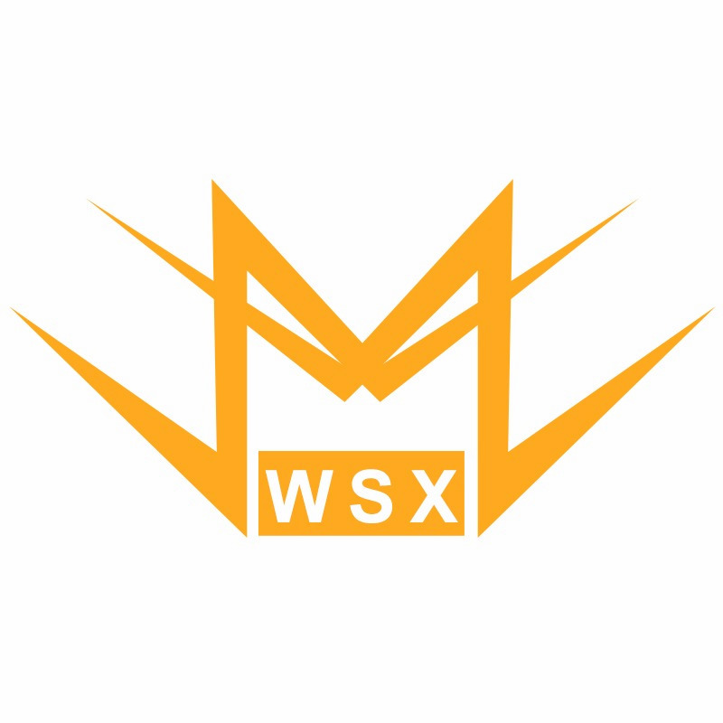 WSX STORE store logo