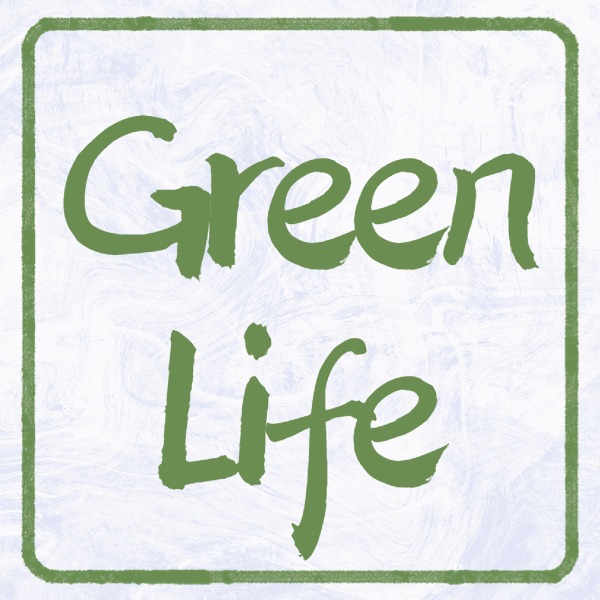 Shop online with PH.Green Life now! Visit PH.Green Life on Lazada.