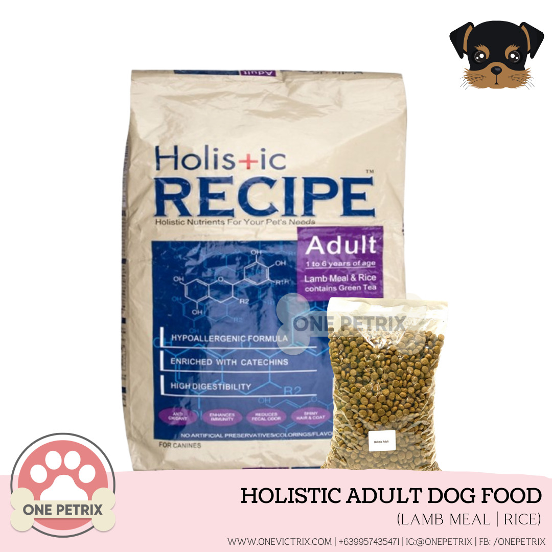 holistic adult dog food