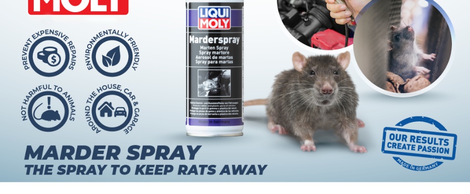 LIQUI MOLY Marder Spray (1515) Rat Repellent that works #shorts