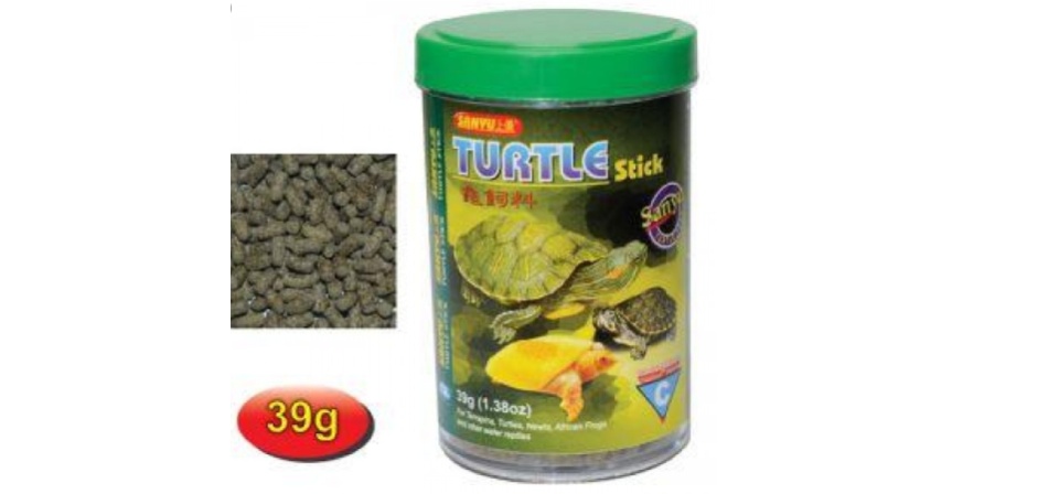 buy pet turtle online