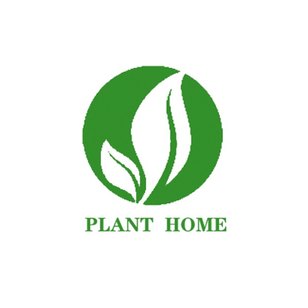 Shop at FLANT HOME with great deals online | lazada.com.ph